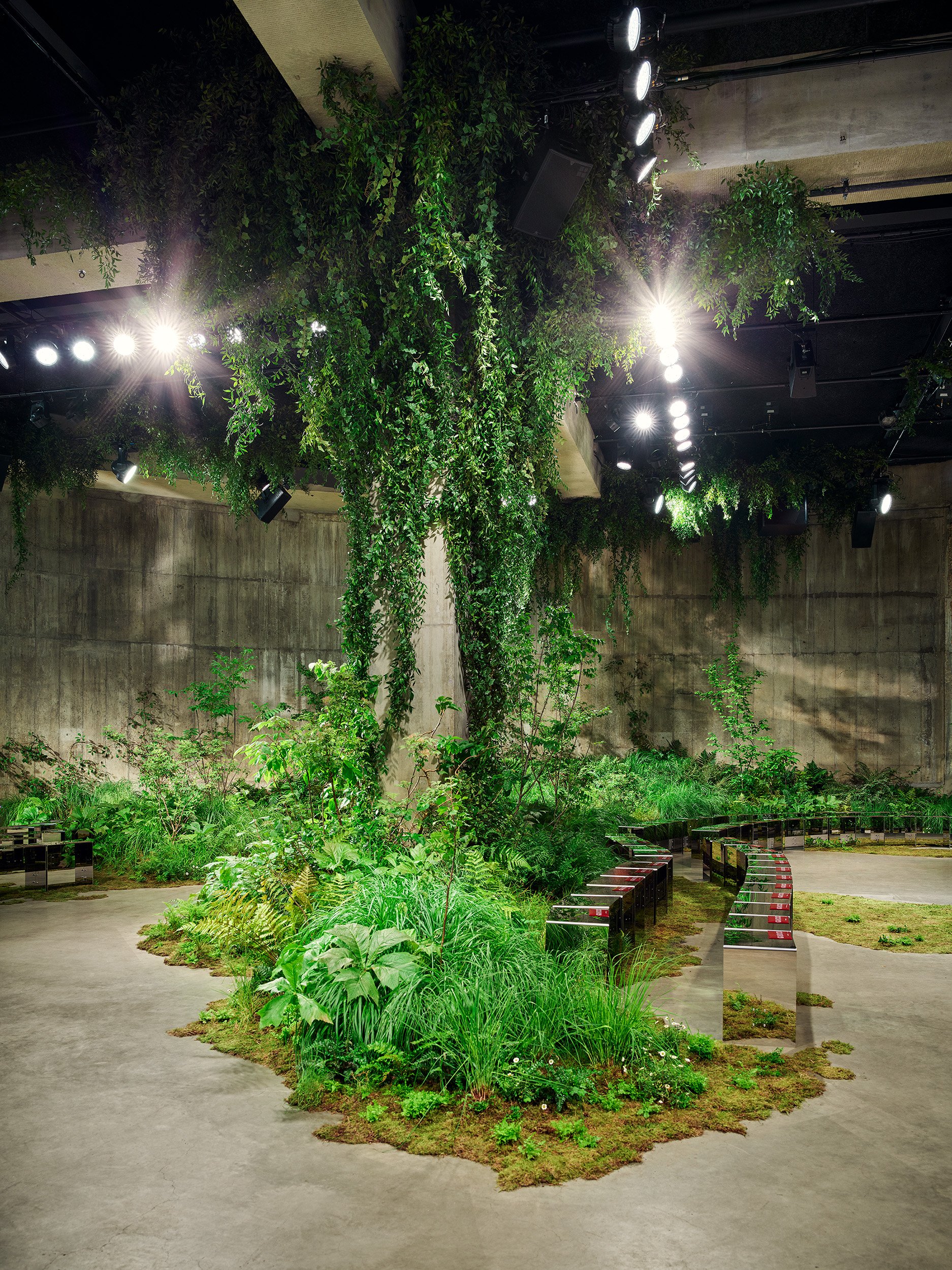 A tree under show lights with plants trailing down the concrete walls