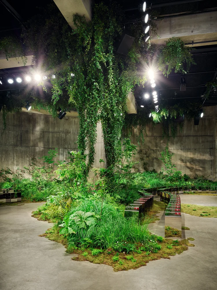 A tree under show lights with plants trailing down the concrete walls