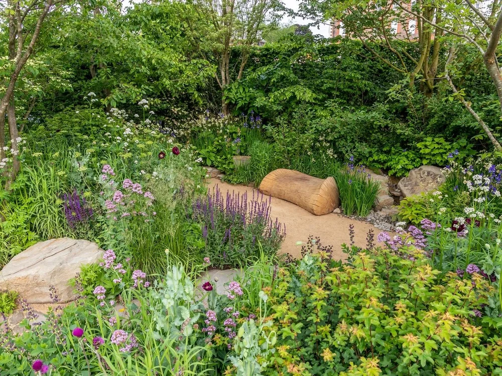 Purple salvia and perennials in a naturalistic border