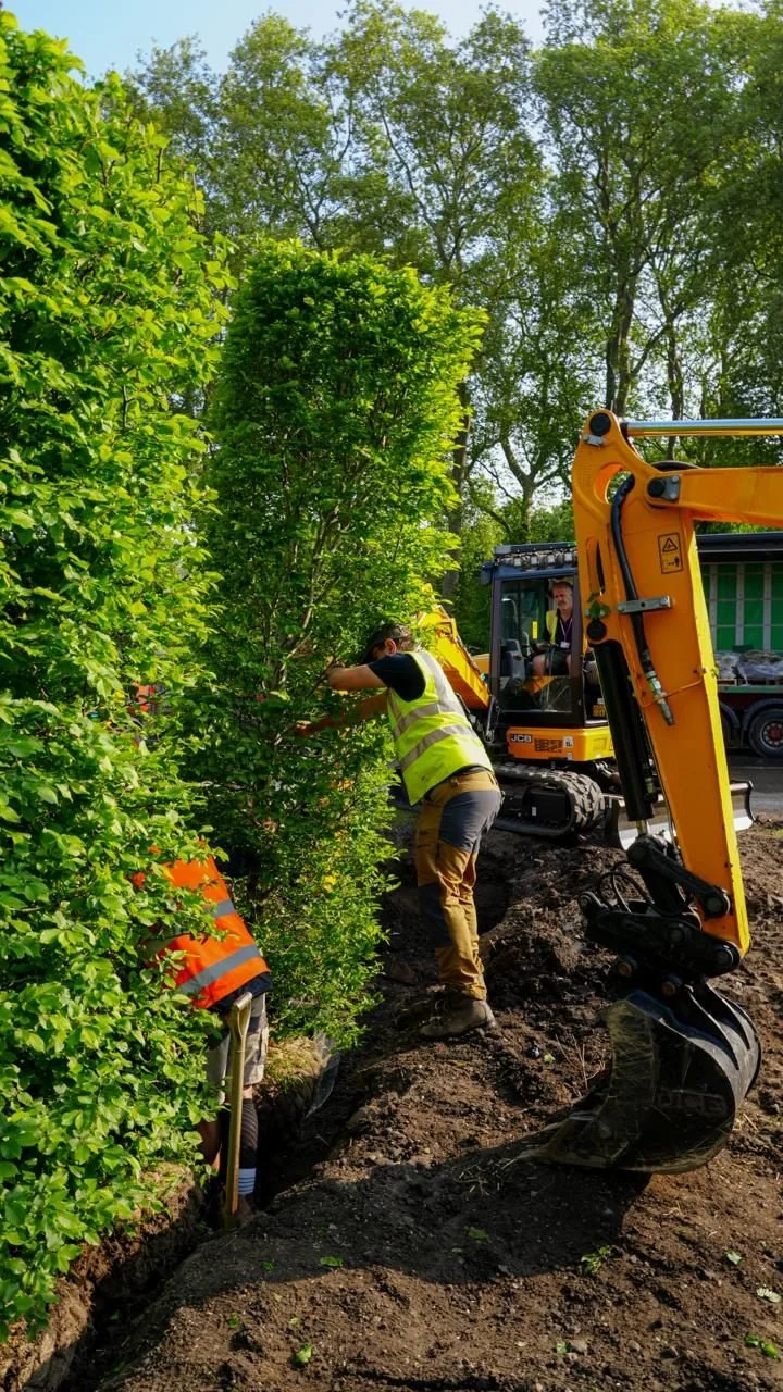 Planting going in during the build of a show garden at the RHS Chelsea Flower Show