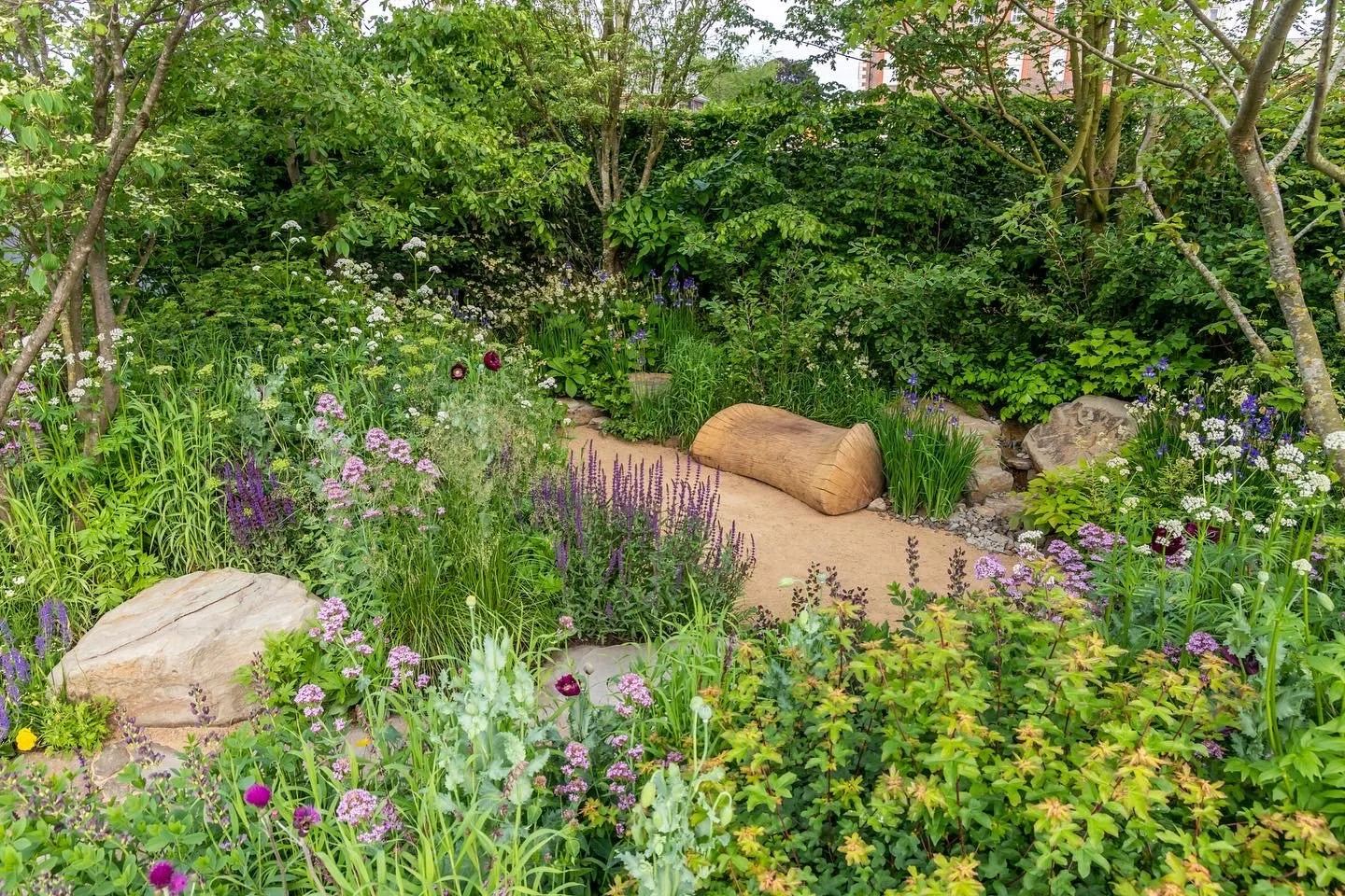 A woodland path through trees and shade planting
