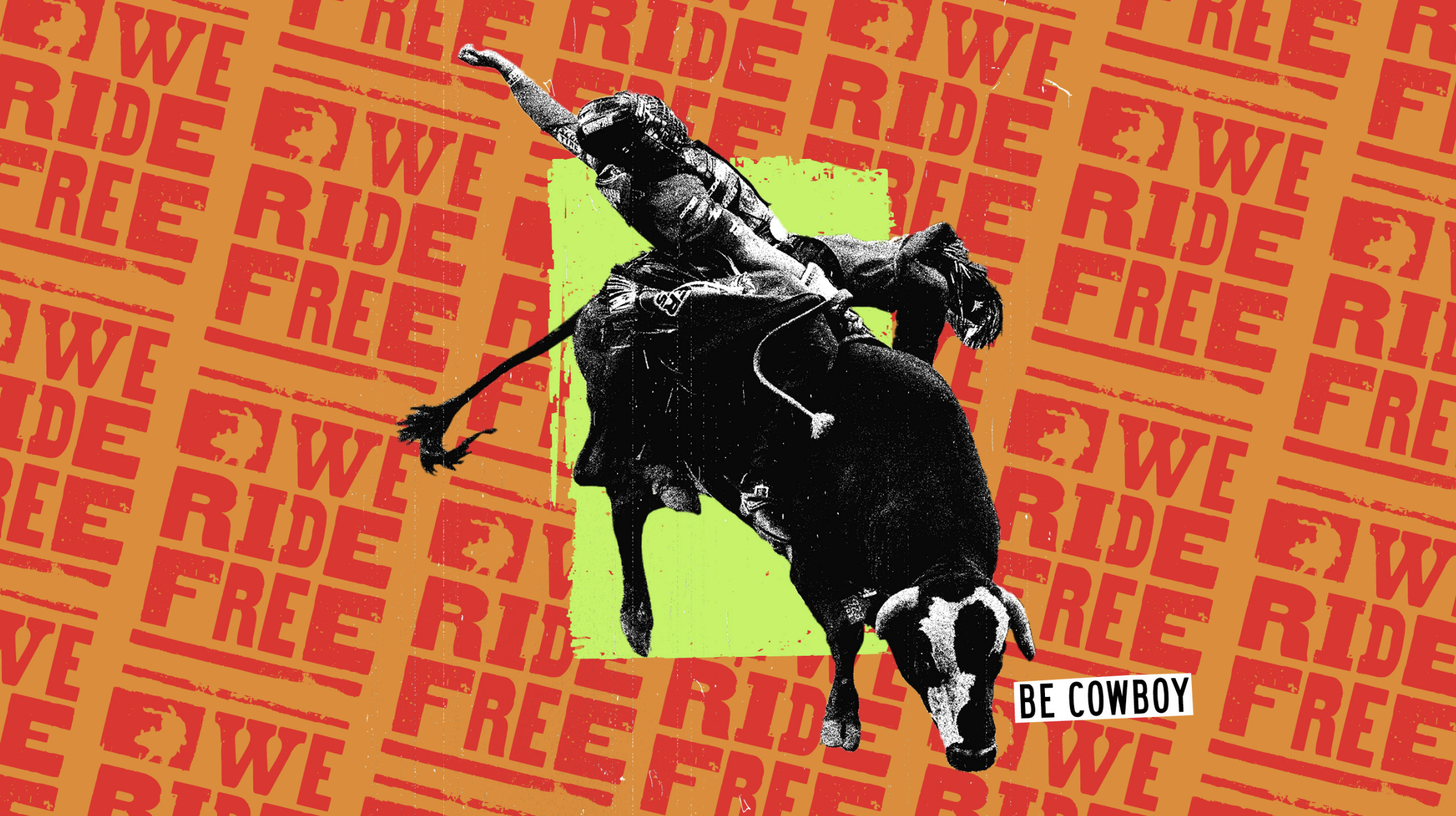 Professional Bull Riders