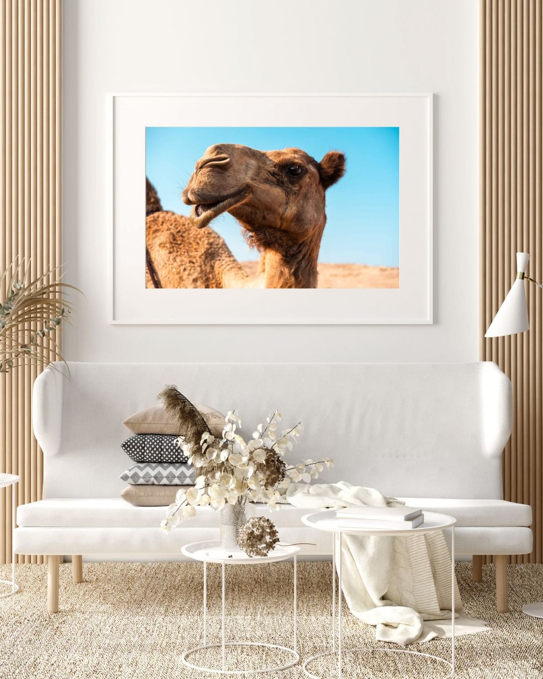 CAMEL SAUDI.jpg
