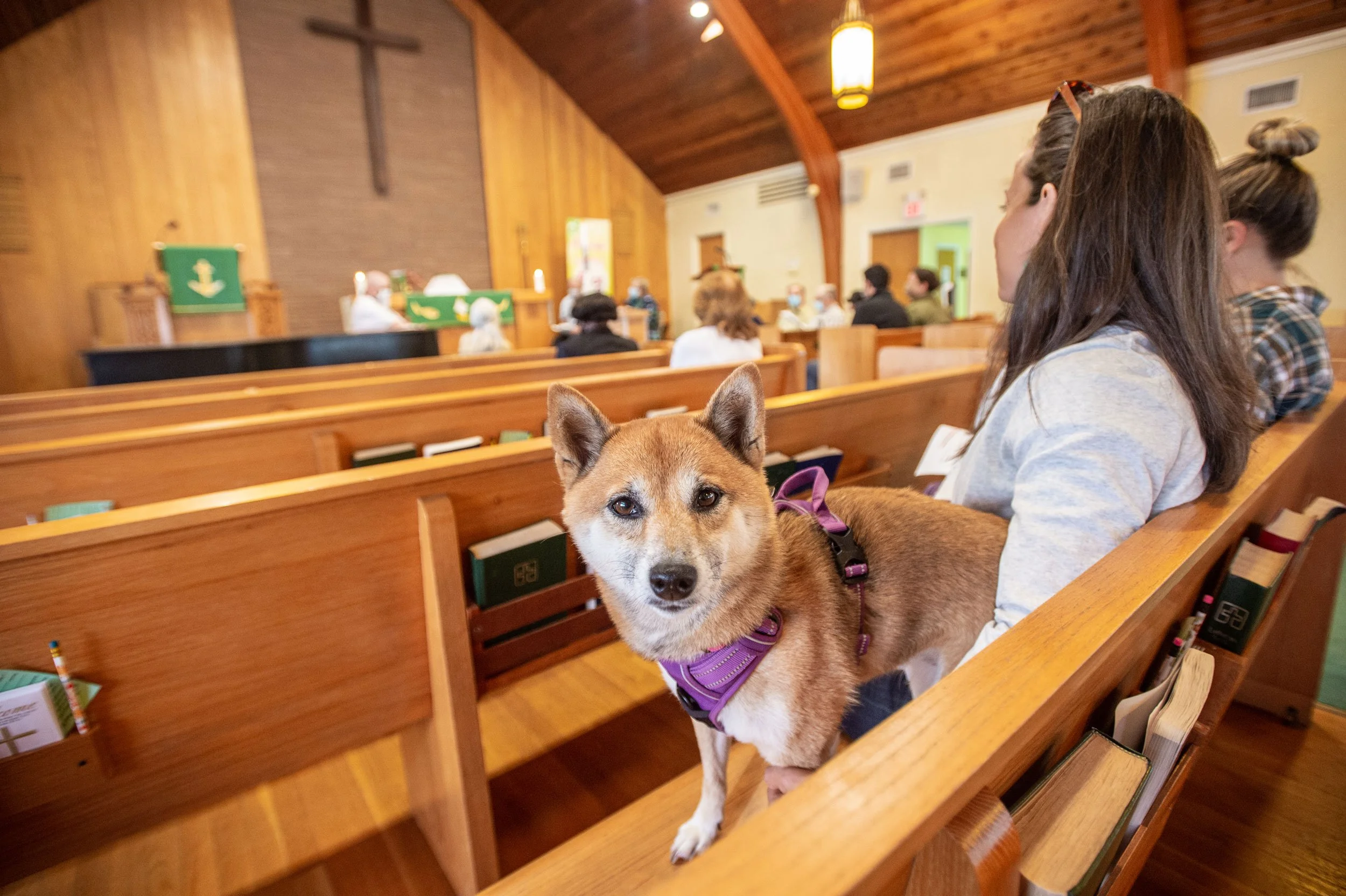 DogInChurch_001.jpg