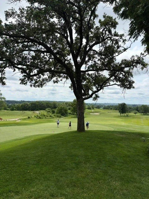 golfers on 9.jpg