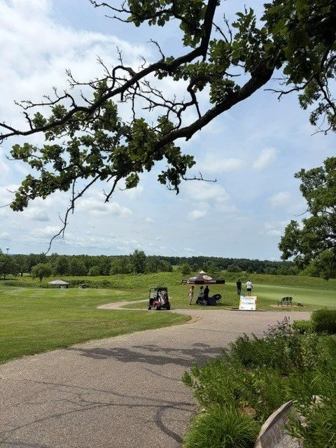 view.jpg