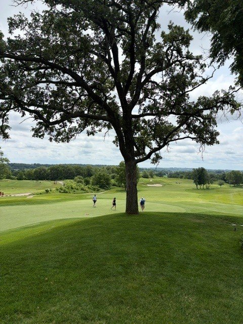 golfers on 9.jpg