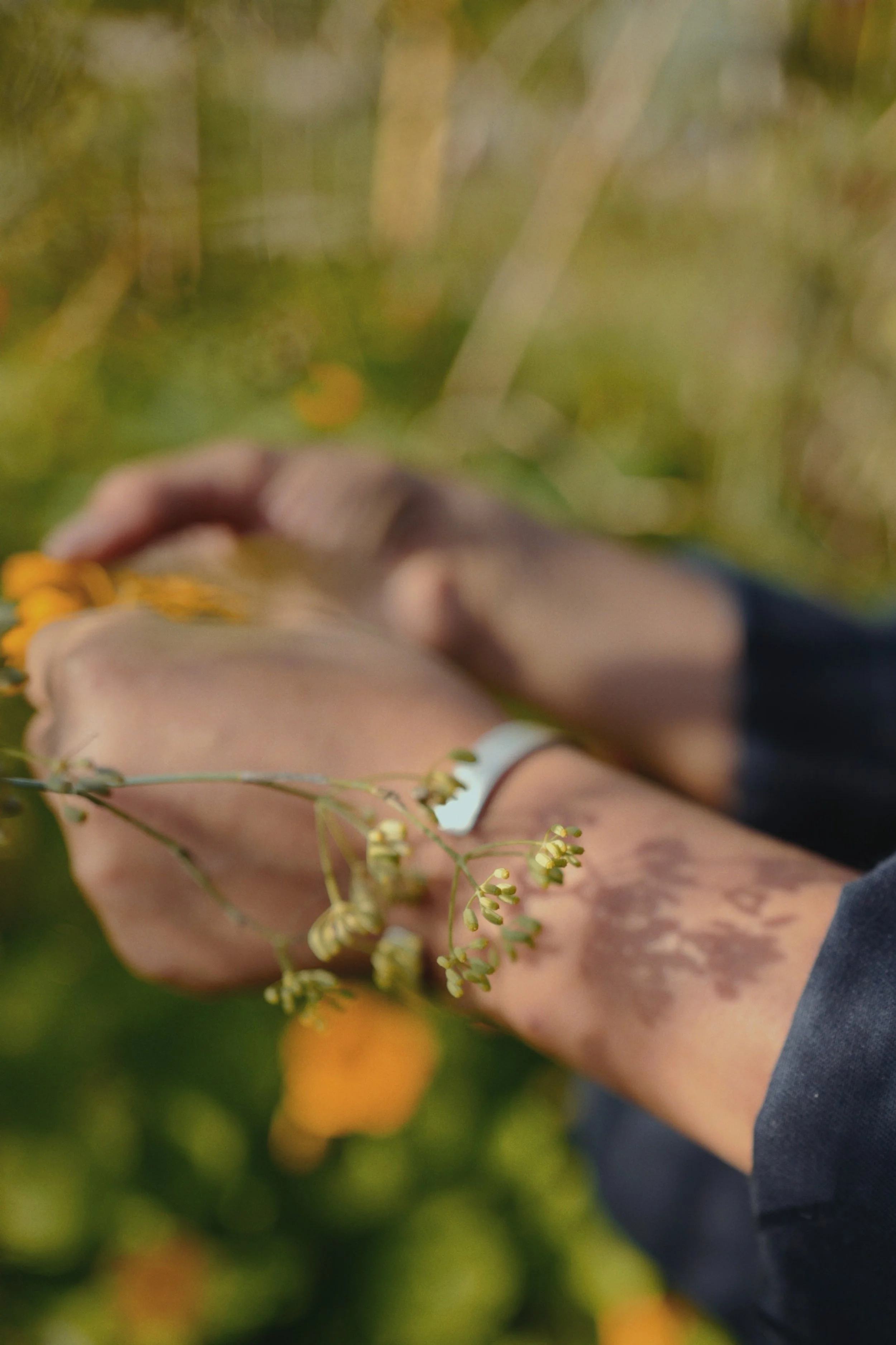 dehancer 2024-08-05 00:20:54 UTC 2.jpg