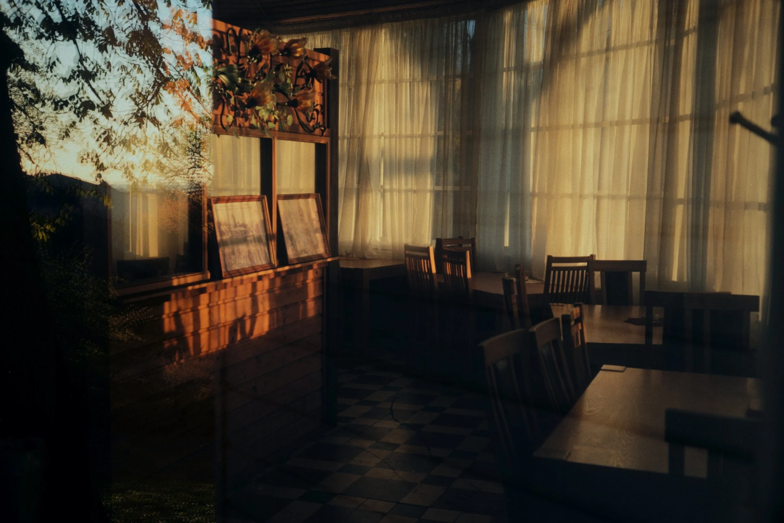 dehancer-1746869701281.JPG