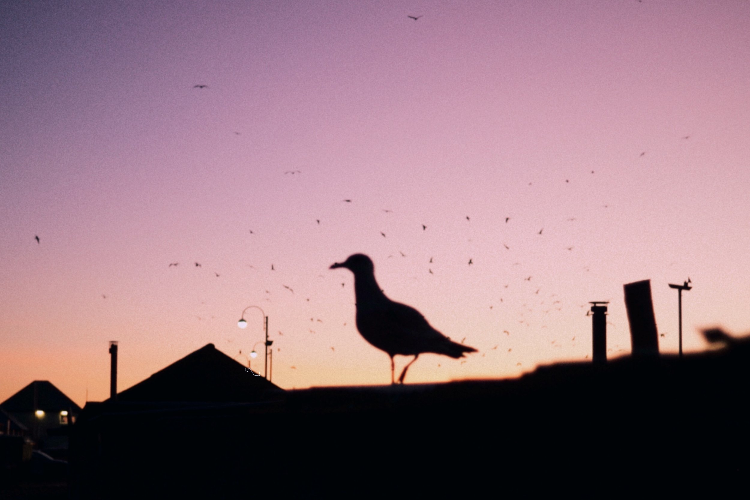 ”A Day in Frame” - Hastings - Contact Sheets- 31/12/25 