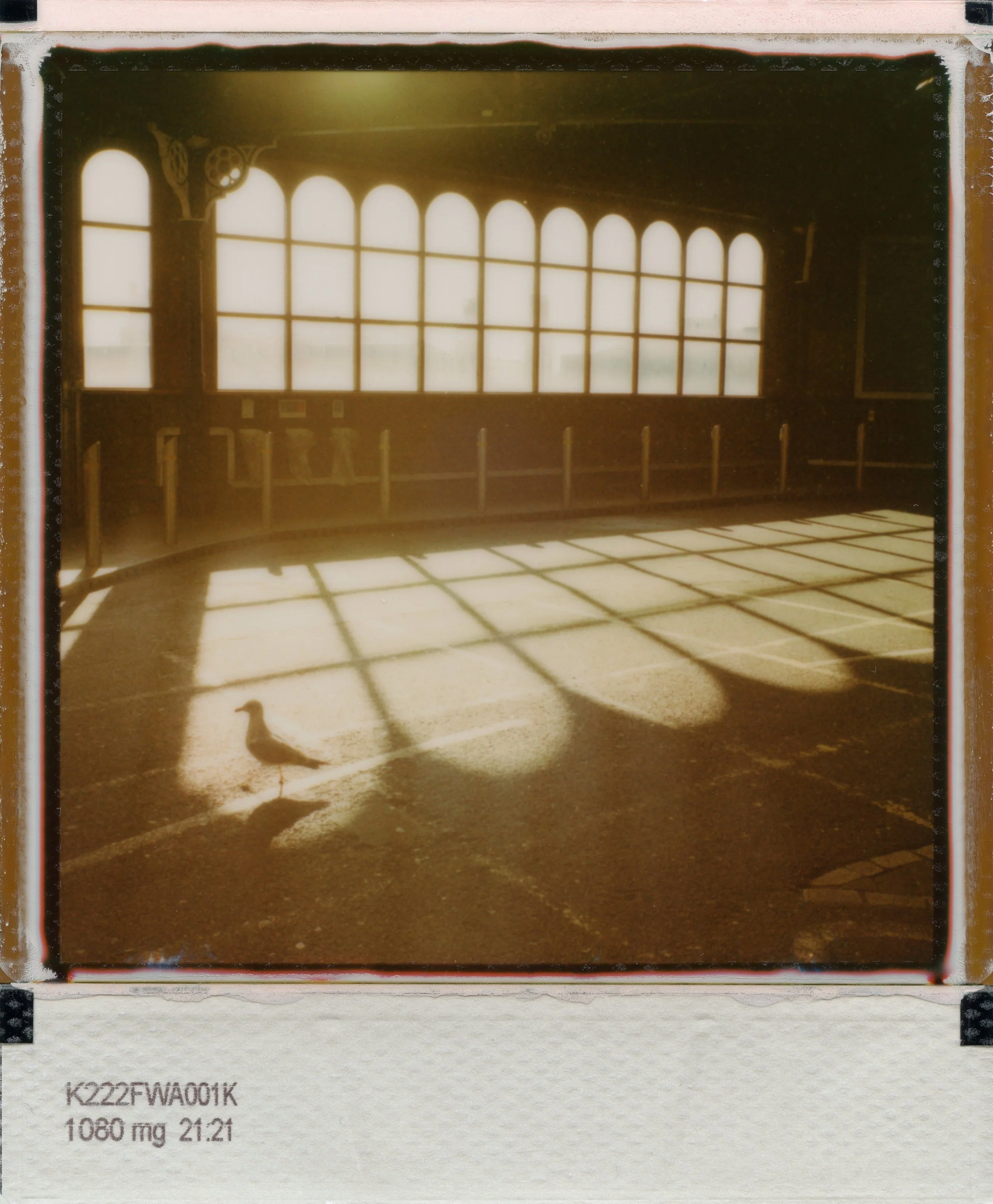Bychko_STRT_POLAROID_93.jpg