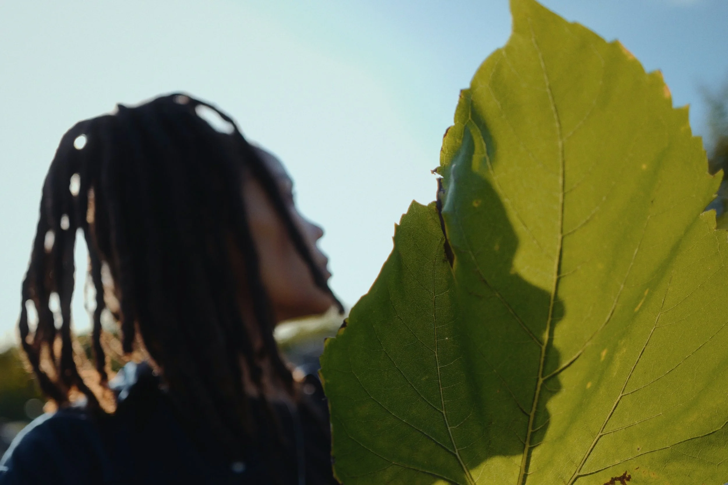 dehancer 2024-08-05 00:14:26 UTC.jpg