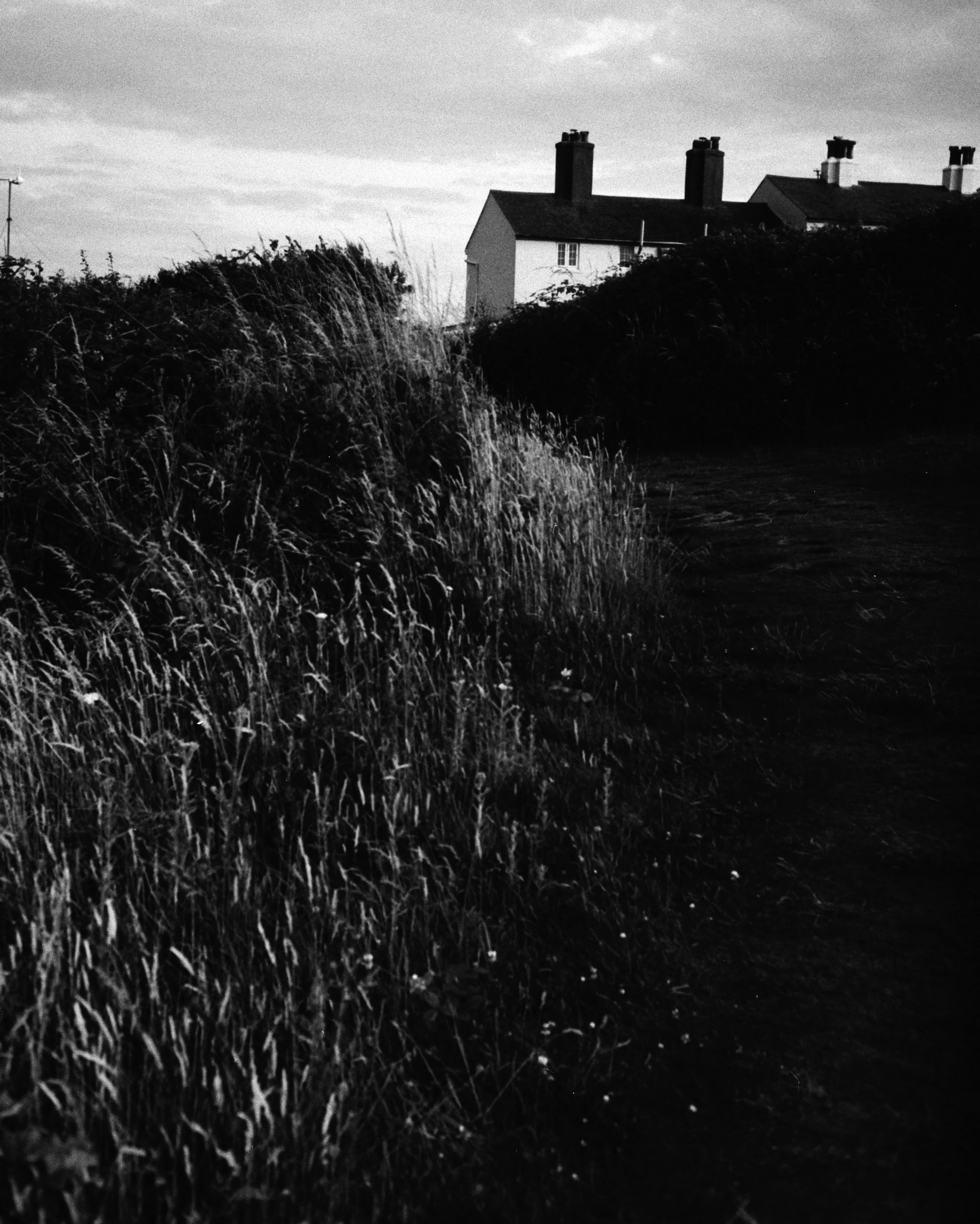 96519_1_1_3278808.jpeg