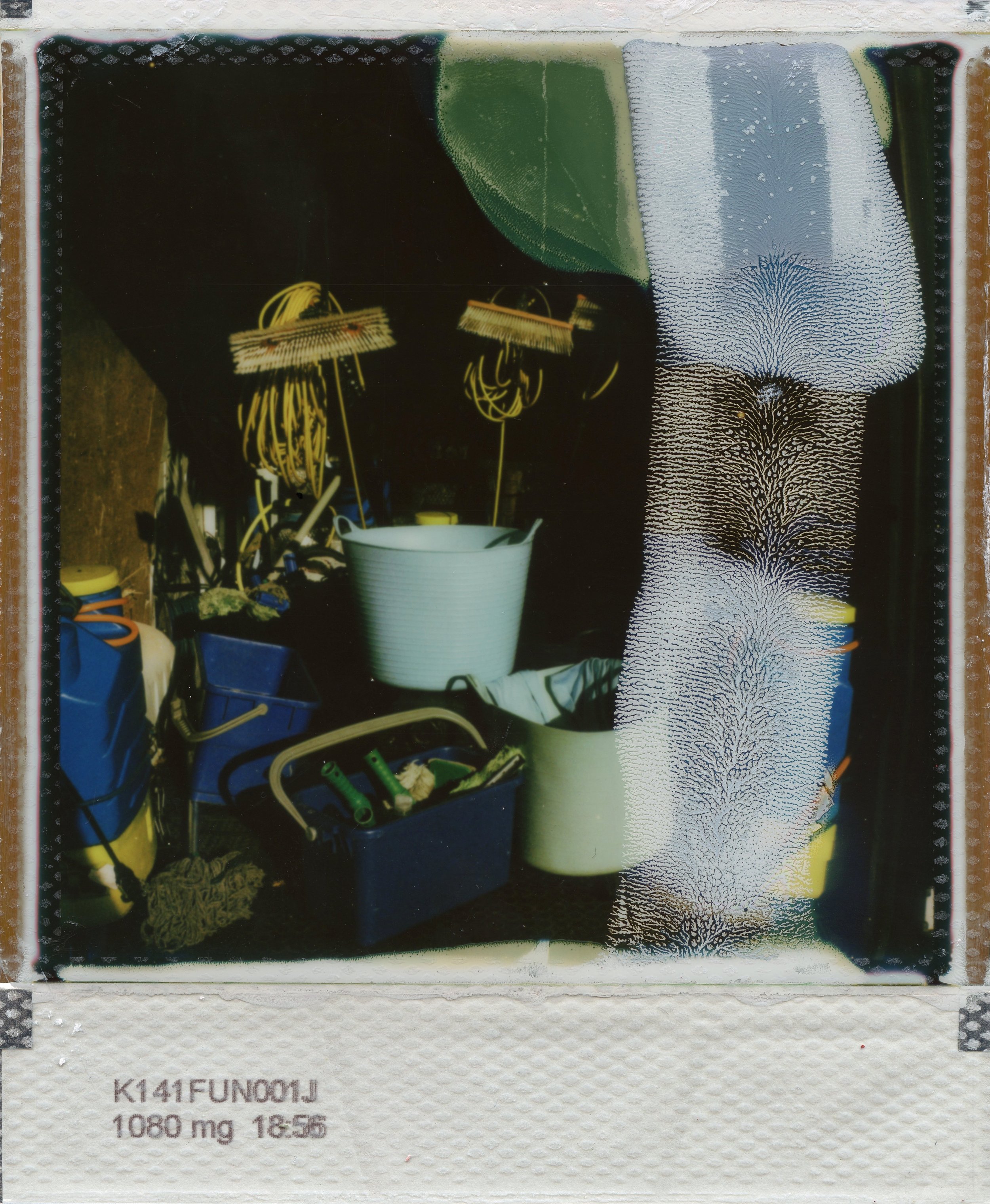 Bychko_STRT_POLAROID_03.jpg