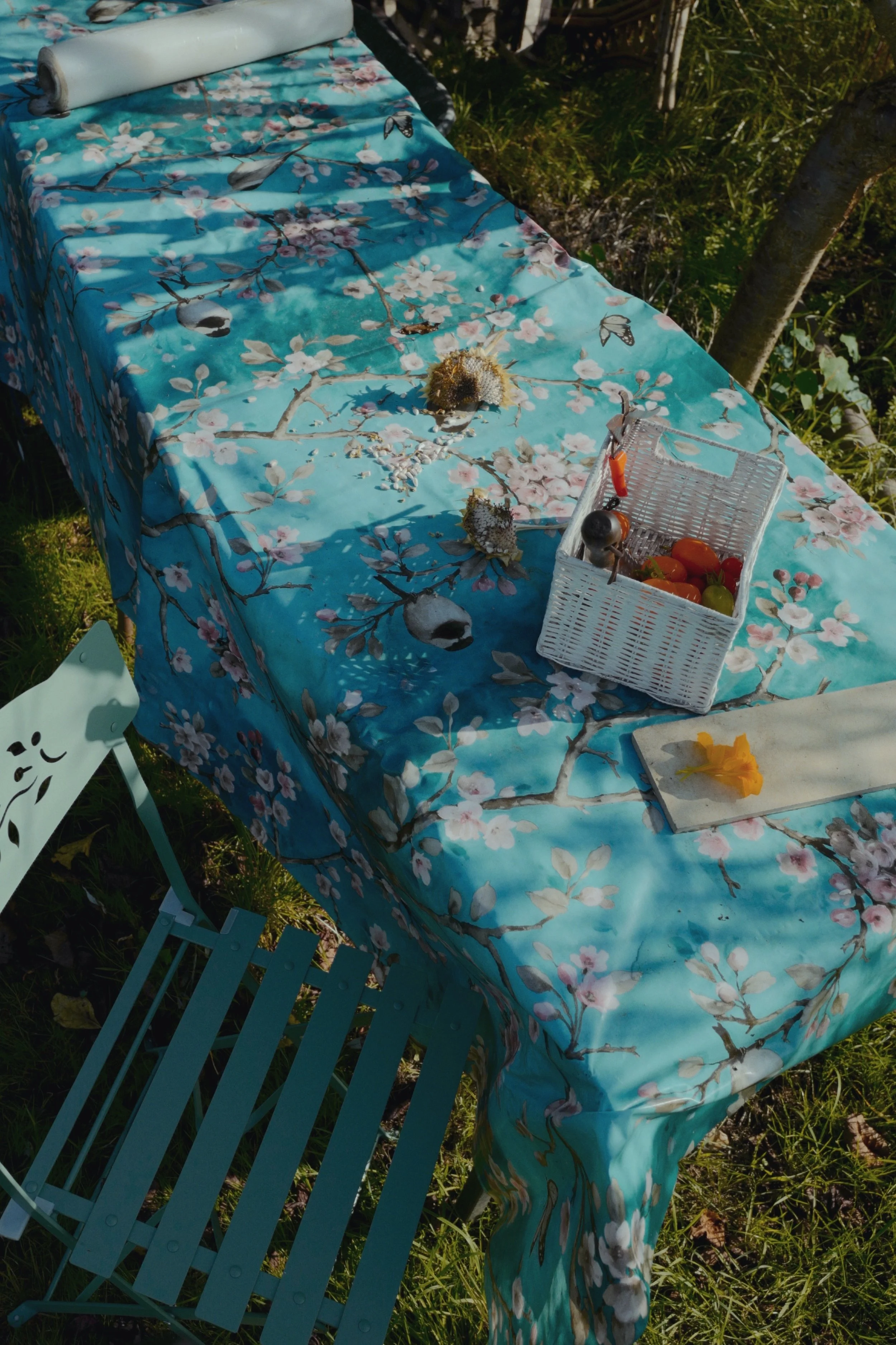 dehancer 2024-08-05 00:20:35 UTC.jpg