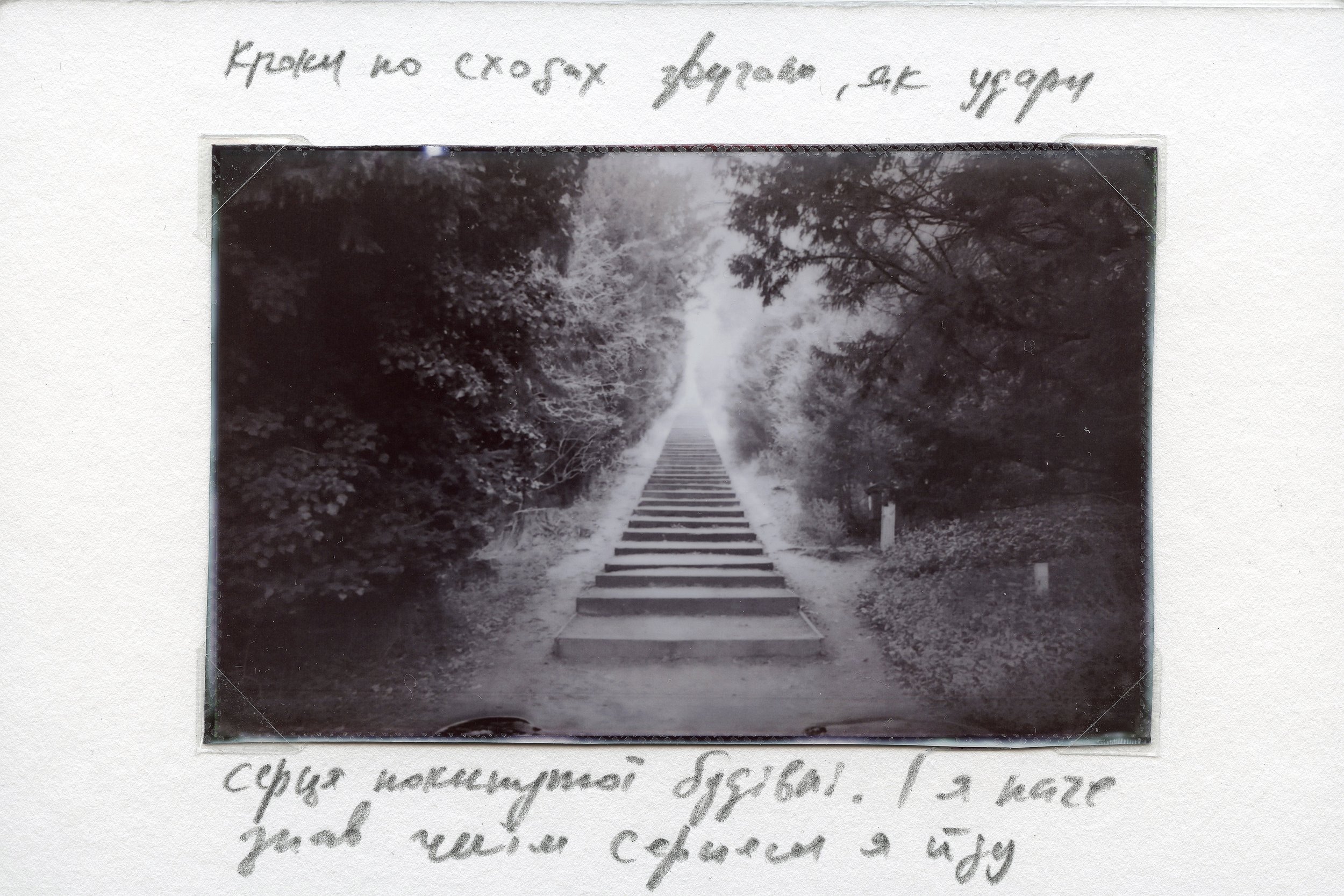 Bychko_01.jpg