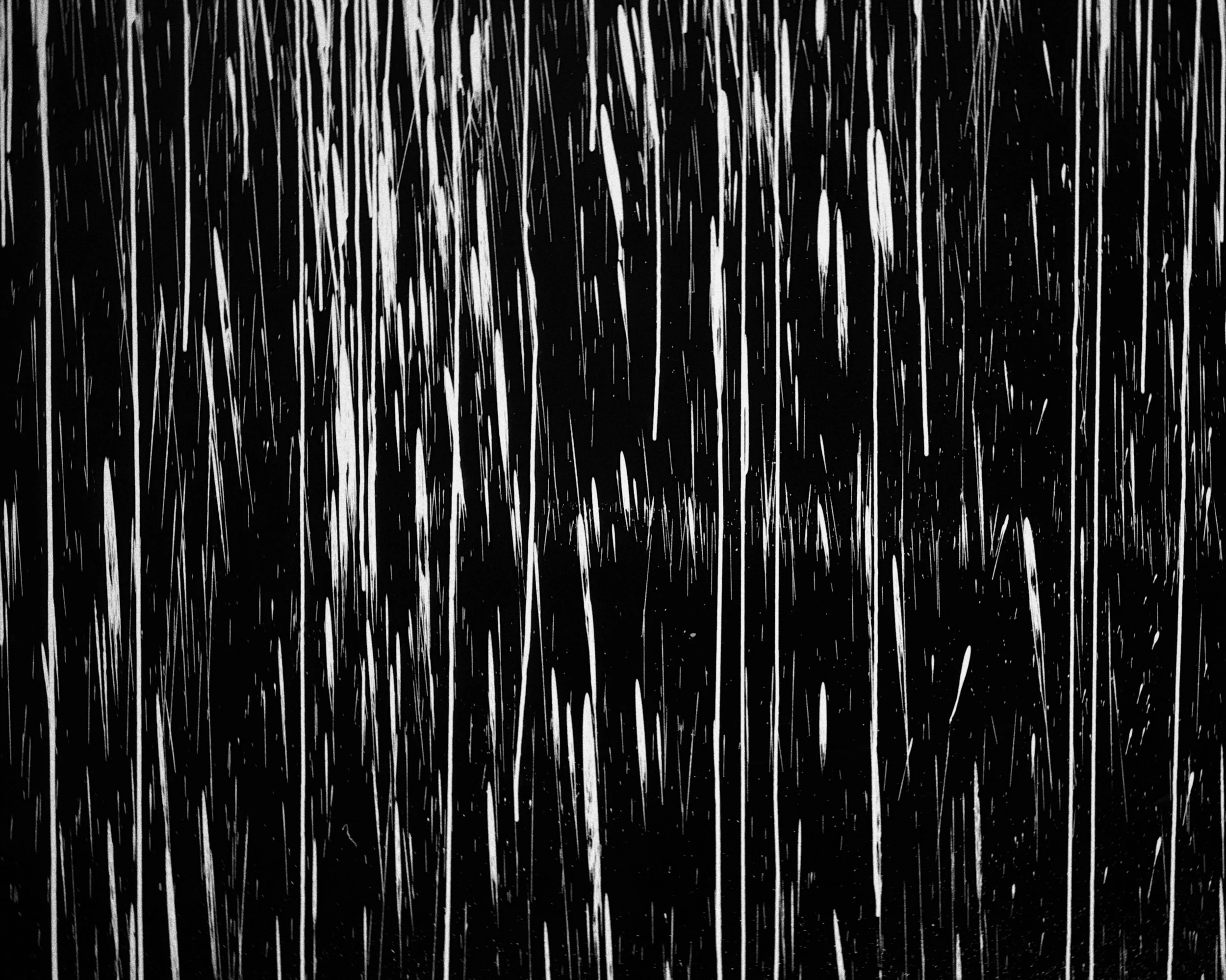 dblack 2026-02-05 1708146737E6798383.jpg