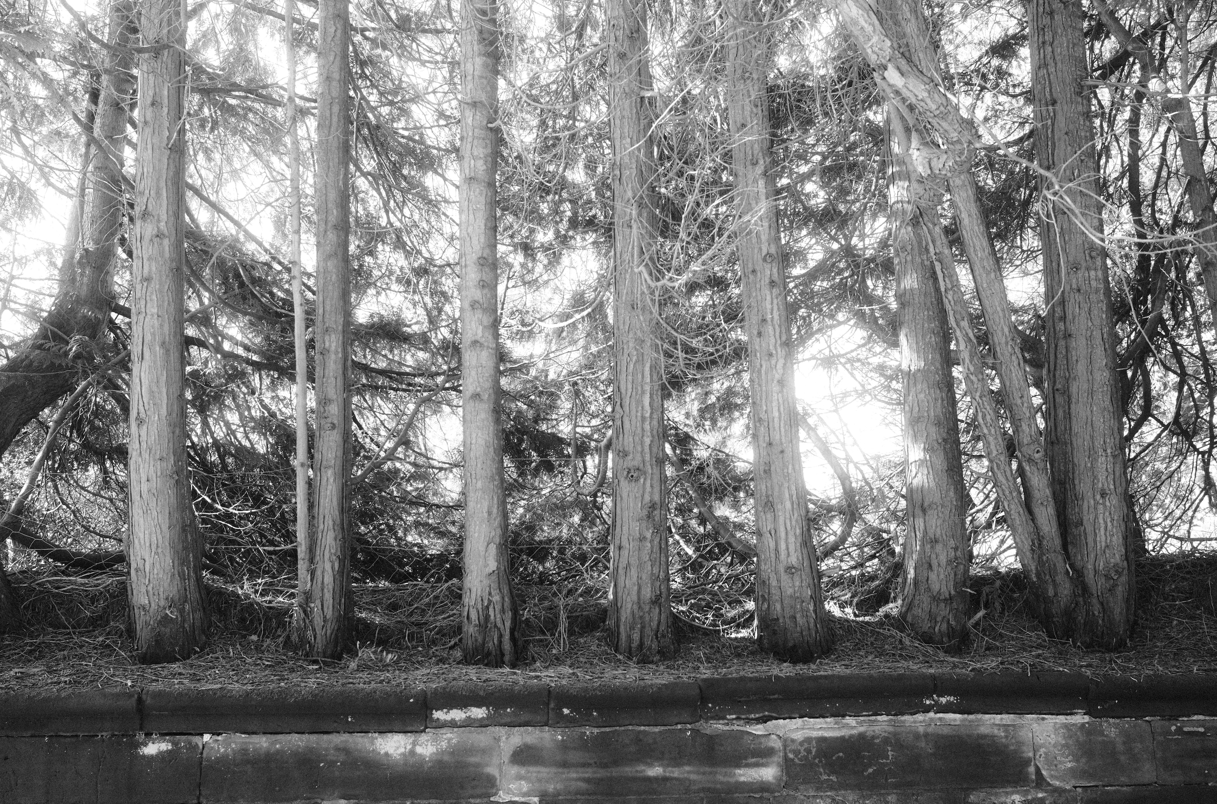 Знімок екрана 2026-03-31 о 00.08.20.png