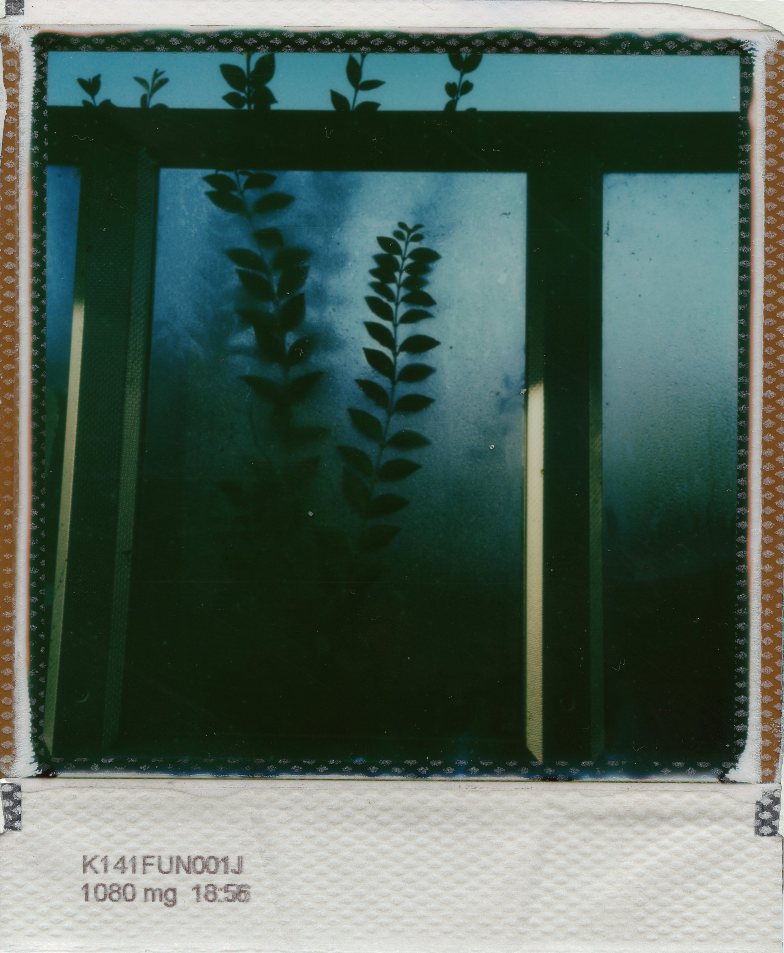 Bychko_STRT_POLAROID_45.jpg