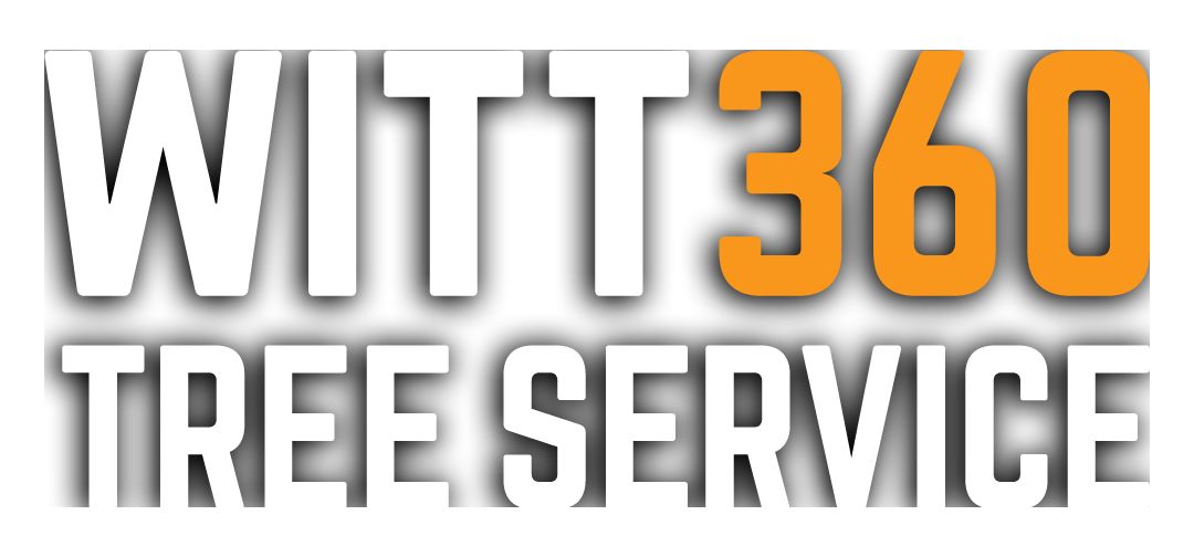 Witt360TreeService-HorzLogo-2.png