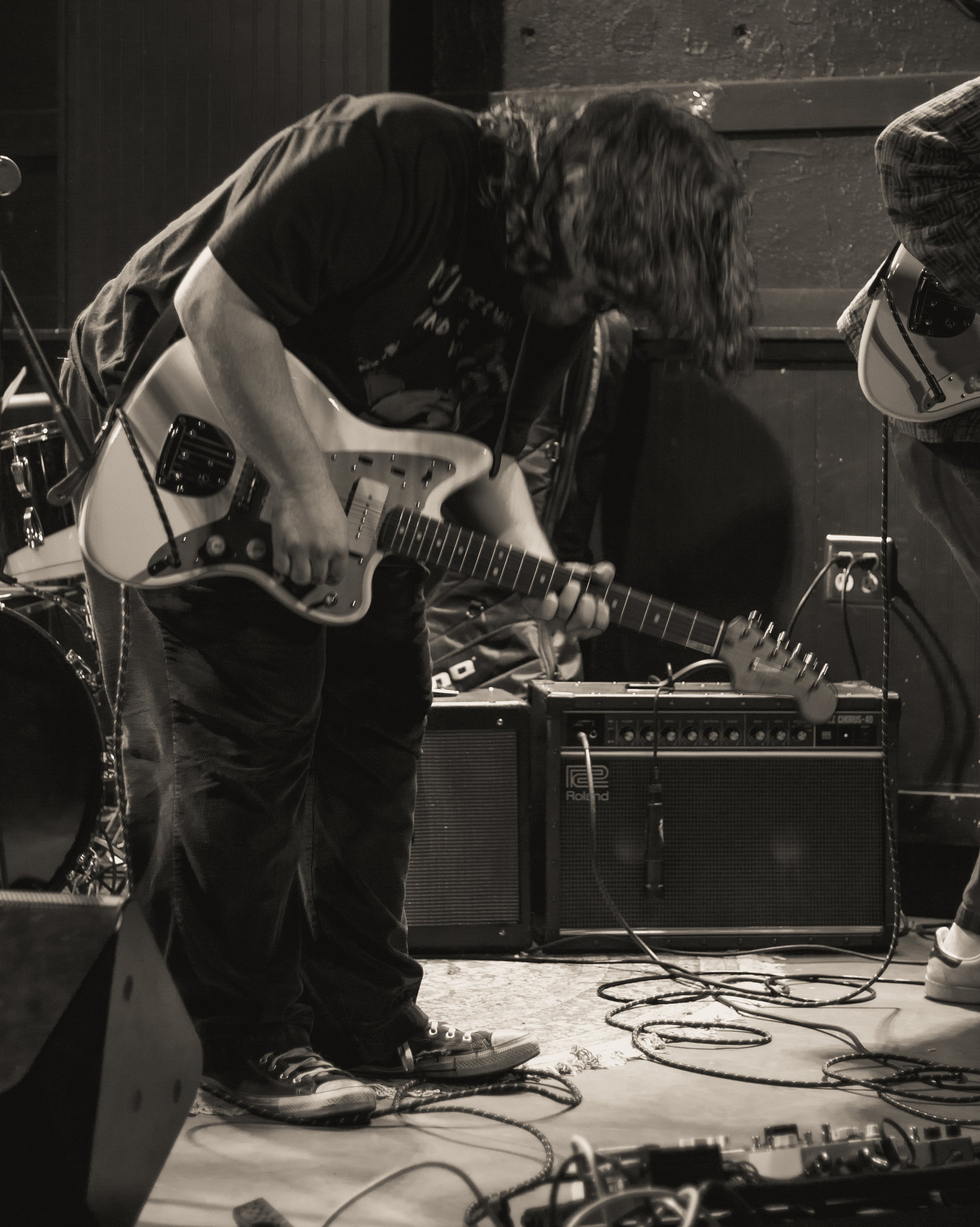 The Ivory Claws