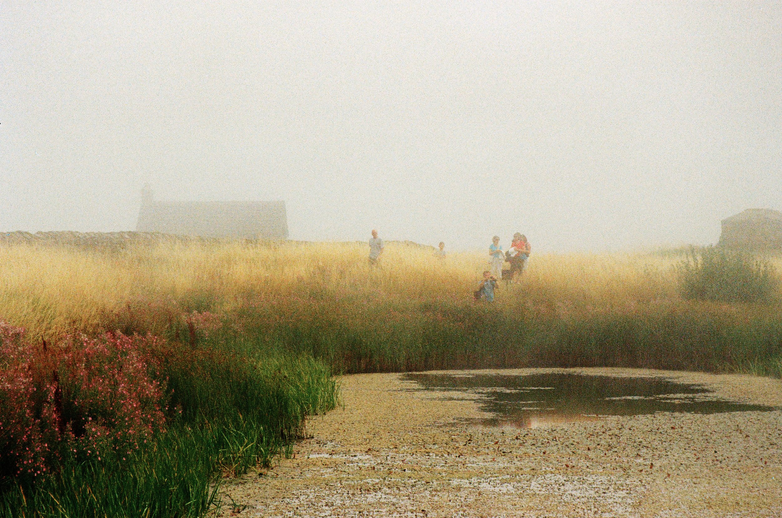 Group of people walking through foggy field with tall grass, near a small pond and a distant house in the background.