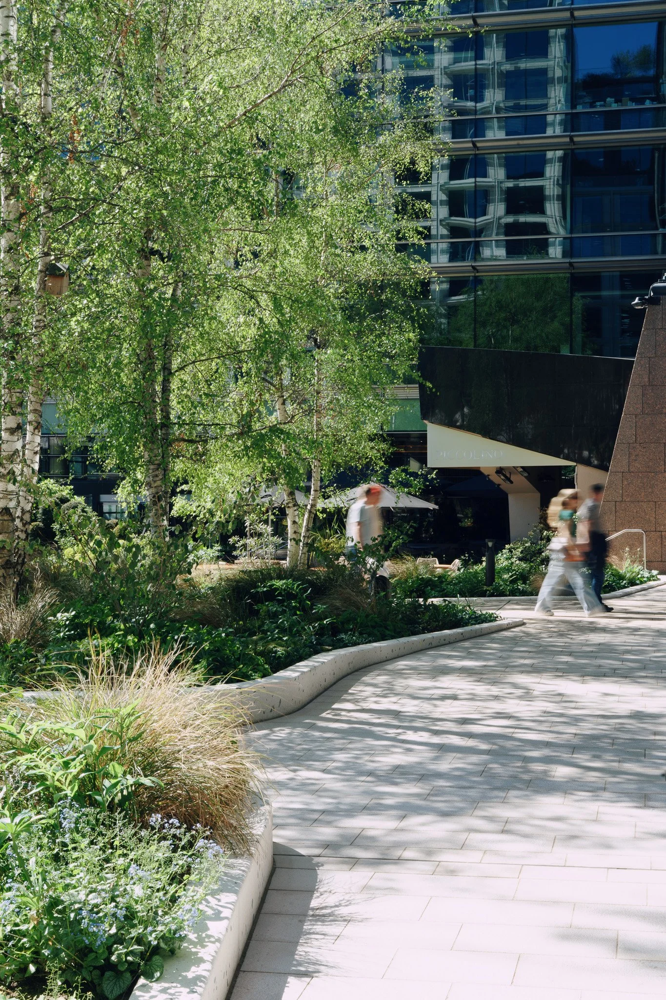 DSC02241-2.jpg