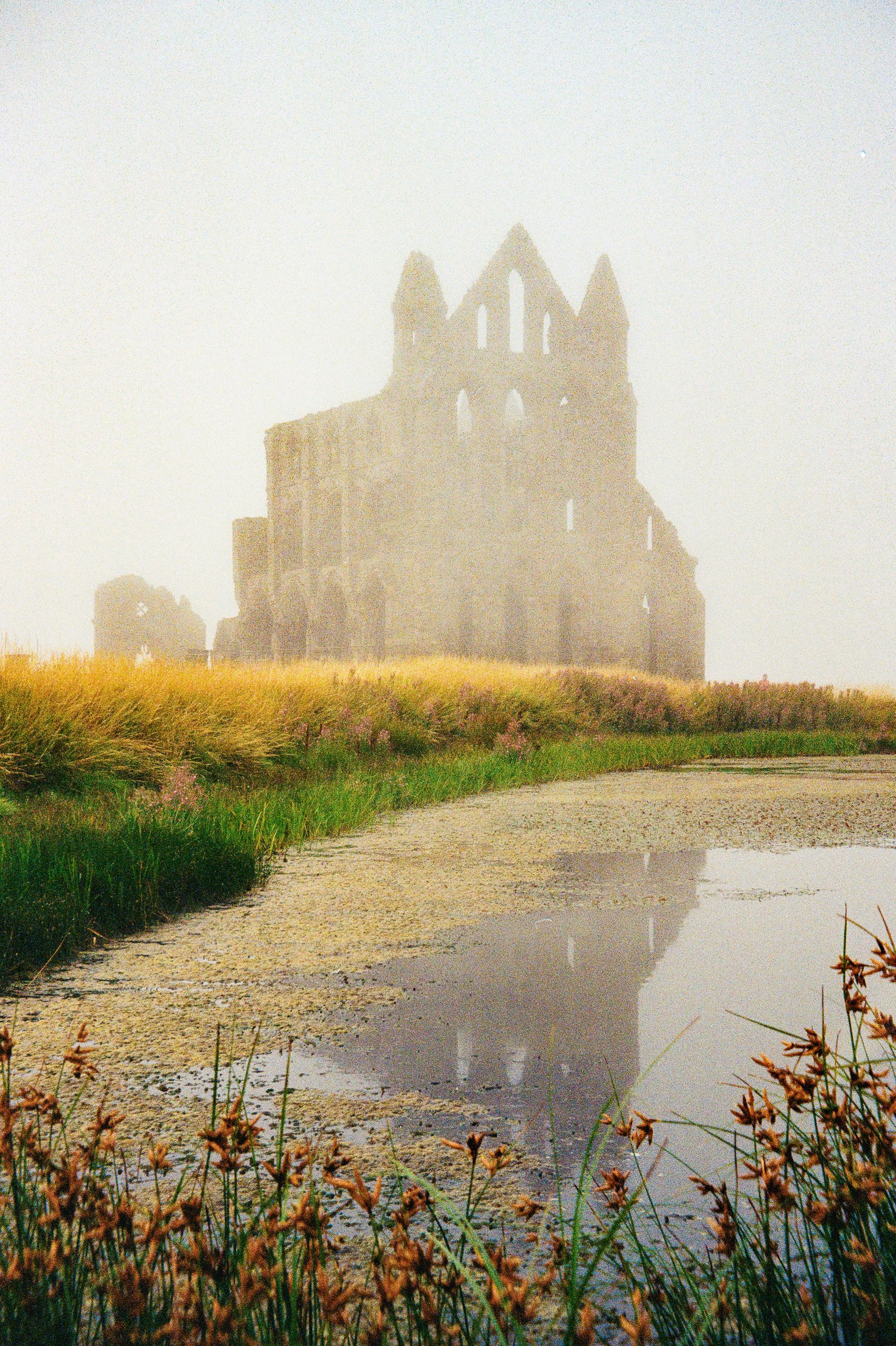 Ruins of Whitby Abbey in the mist with grass and a pond in the foreground.
