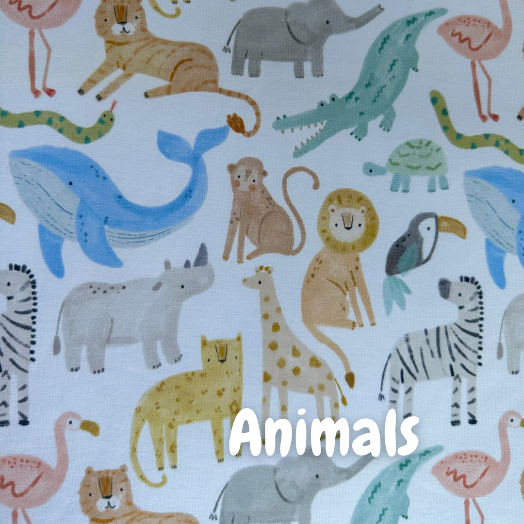 Oranges (5).png (Copy)