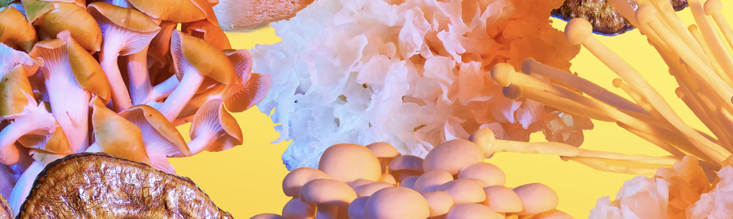 Compare Benefits of Caffeine Skincare & Mushroom Skincare
