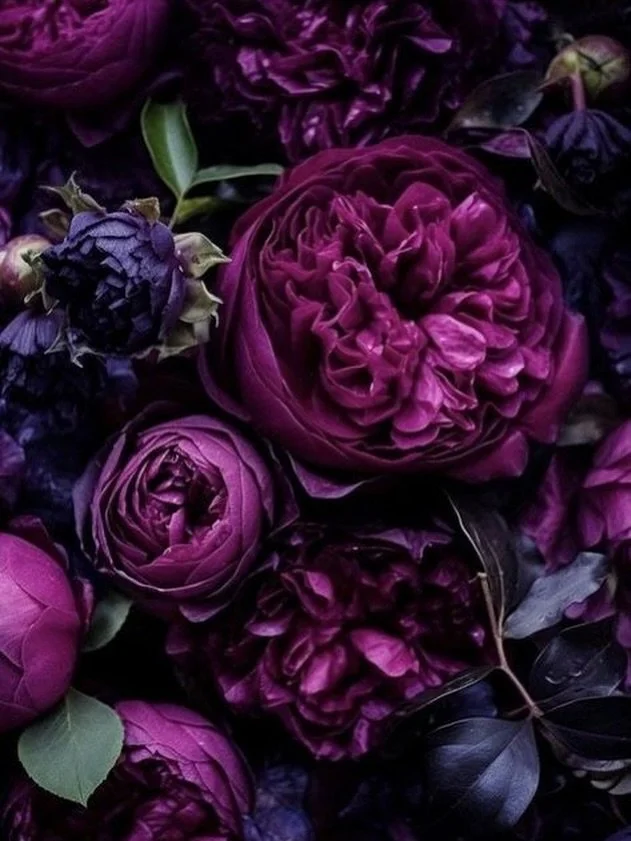 PURPLESxx
#inspiration
