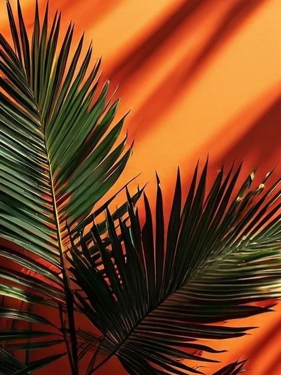 HUES OF ORANGExx

#inspiration