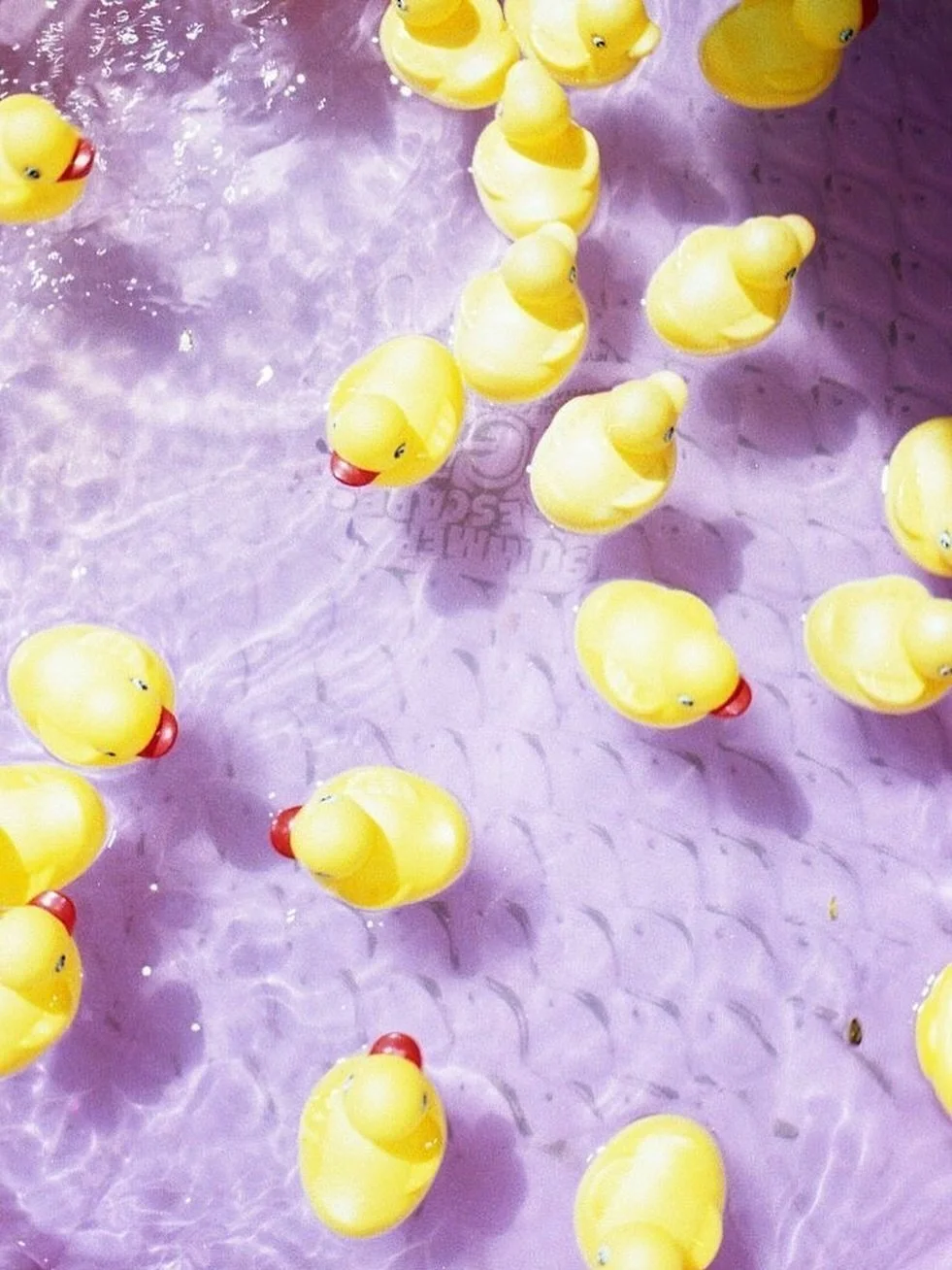 SWEET RUBBER DUCKIE DAYSxx

#inspiration #notmyphoto