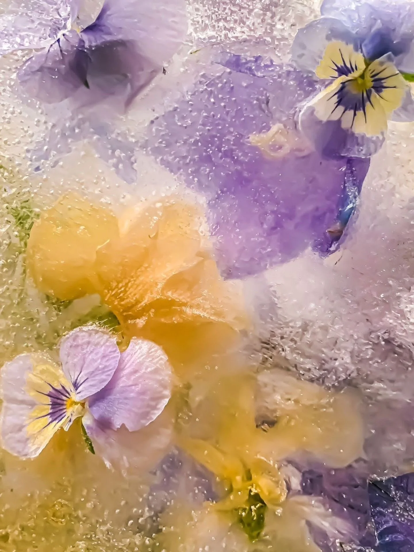 PURPLE &amp; YELLOWSxx

#inspiration #notmyphoto