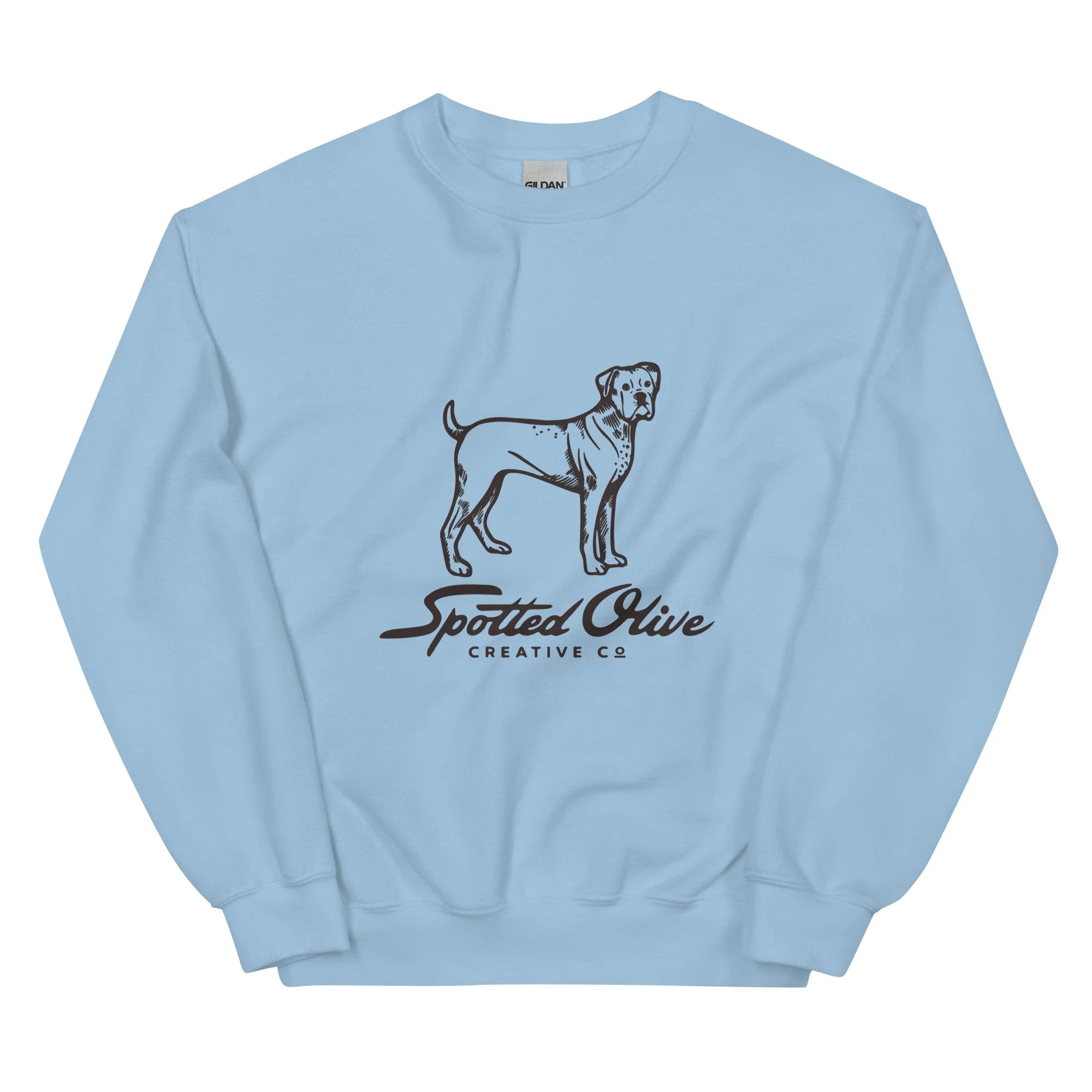 unisex-crew-neck-sweatshirt-light-blue-front-6814d18ad3c9c.jpg