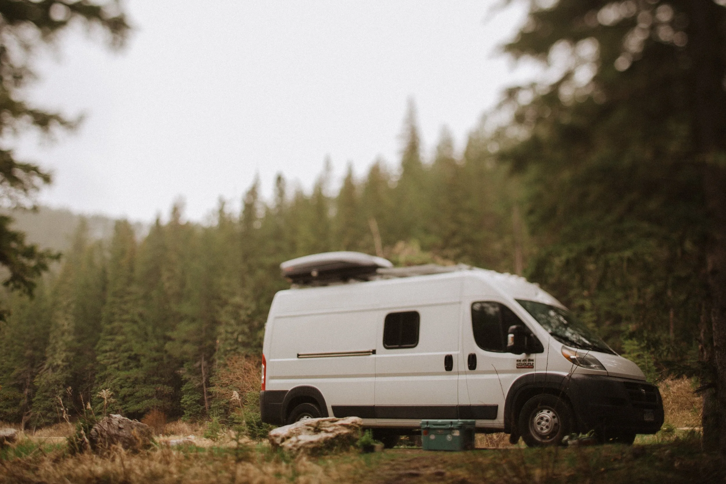 White camper van parked in a forest setting with trees in the background.
