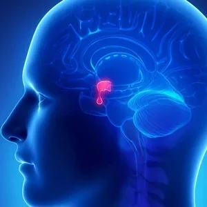 Hormone Balancing.webp