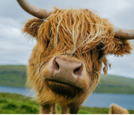 Screenshot 2026-03-03 12.58.42.png