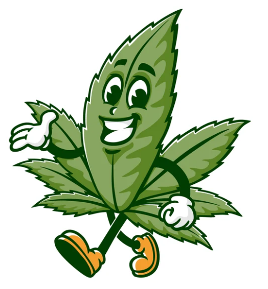 Screenshot 2026-03-03 12.56.52.png