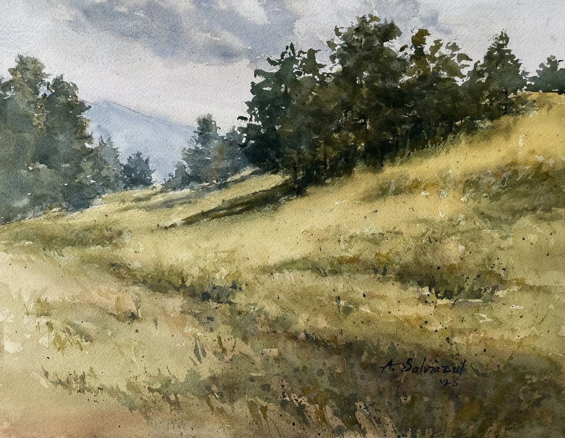 ann_salviazul_scattered_rain_and_sun.jpg
