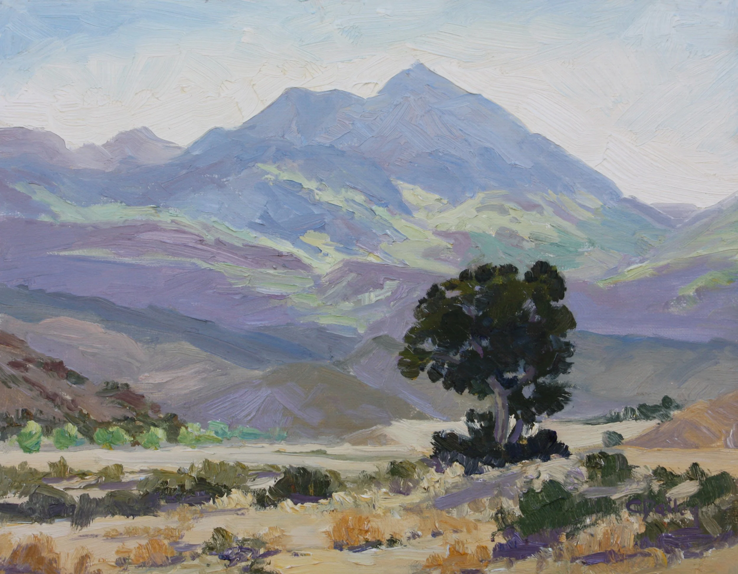 Lonely Cedar-web.jpg