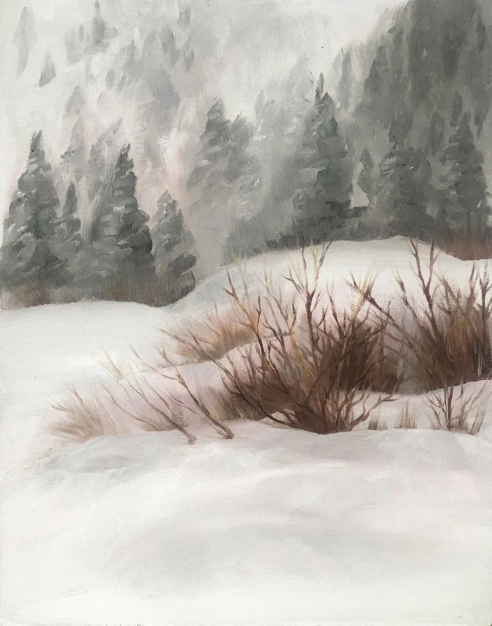 Backcountry Snow LR.jpg