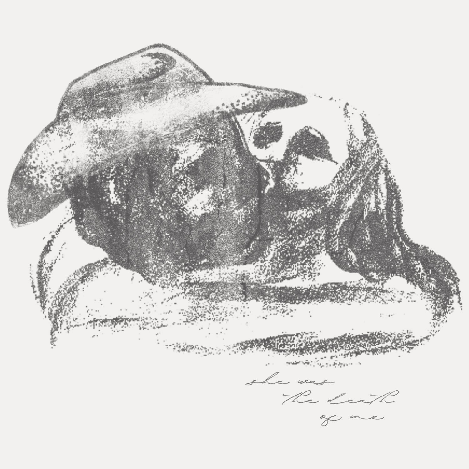 todo-pasa-cowboy-tshirt-02.jpg