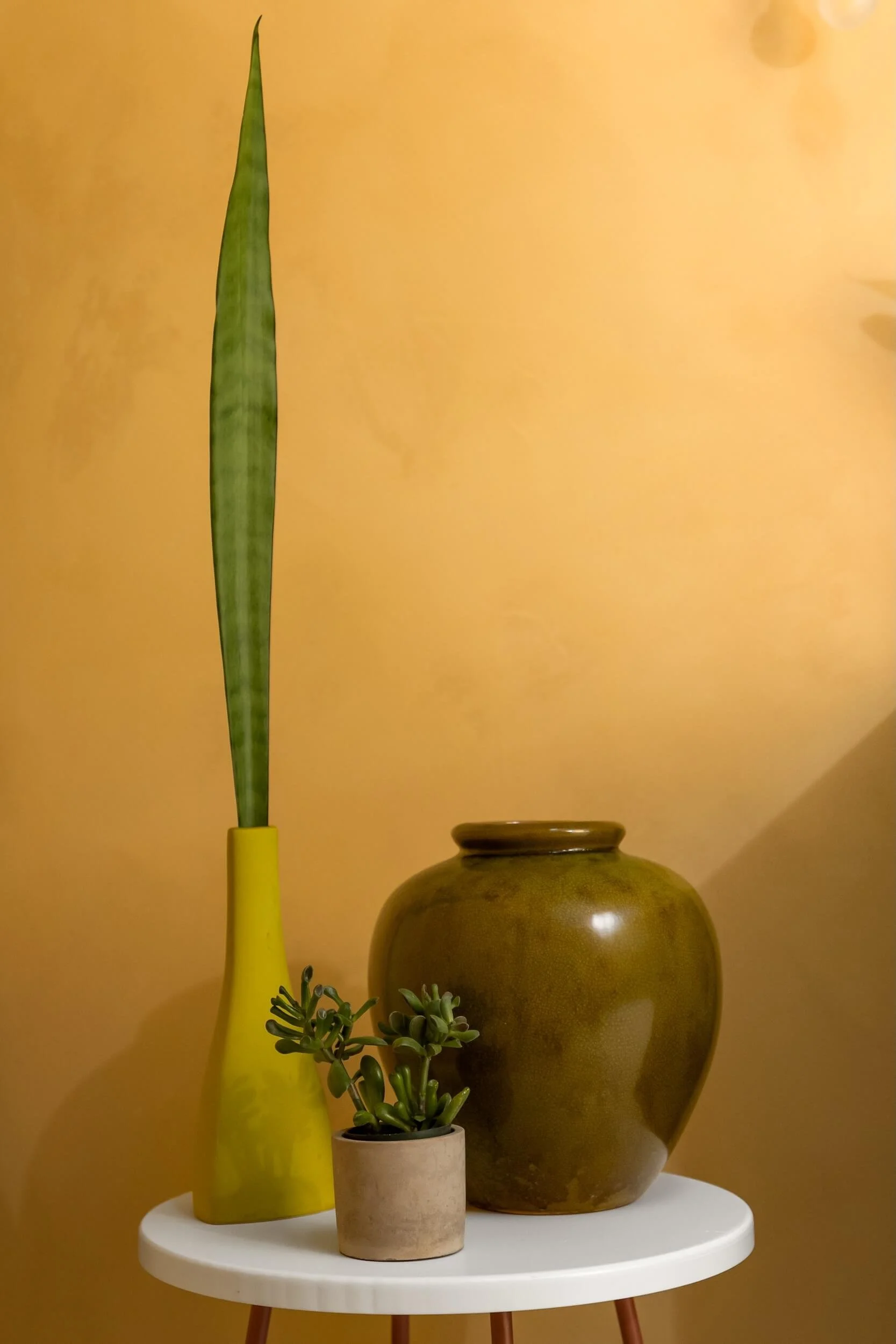 Photo-23.jpg
