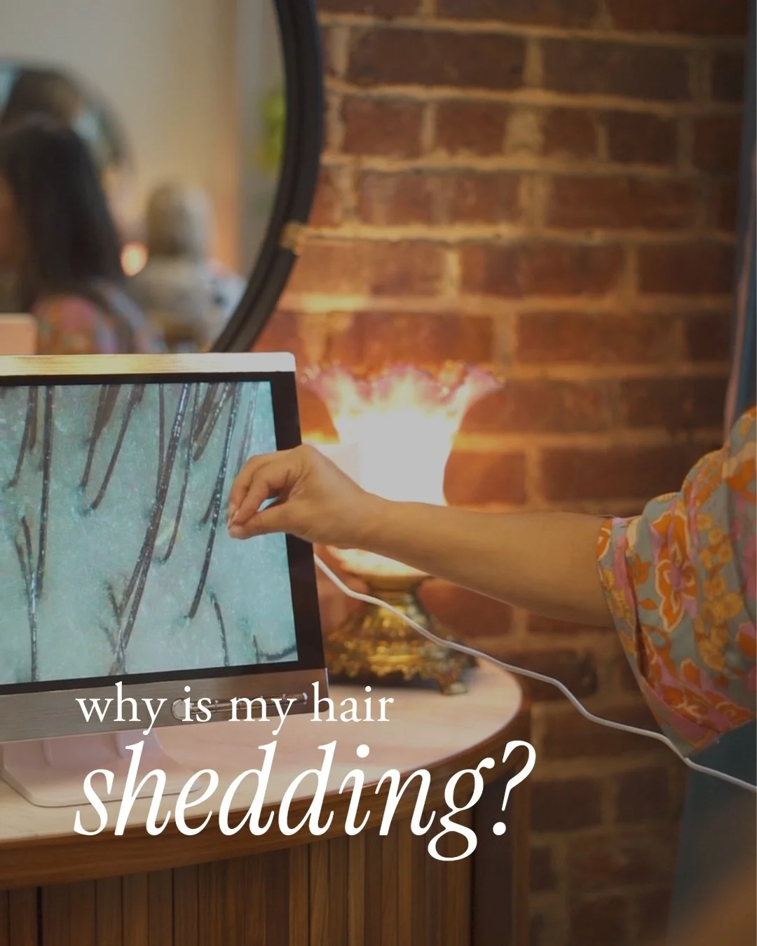 Noticing more shedding than usual?

You&rsquo;re not alone ❤️ I see it all the time behind the chair, and I promise, it doesn&rsquo;t always mean something is wrong. From stress and hormones to nutrition or seasonal shifts, there are so many reasons 