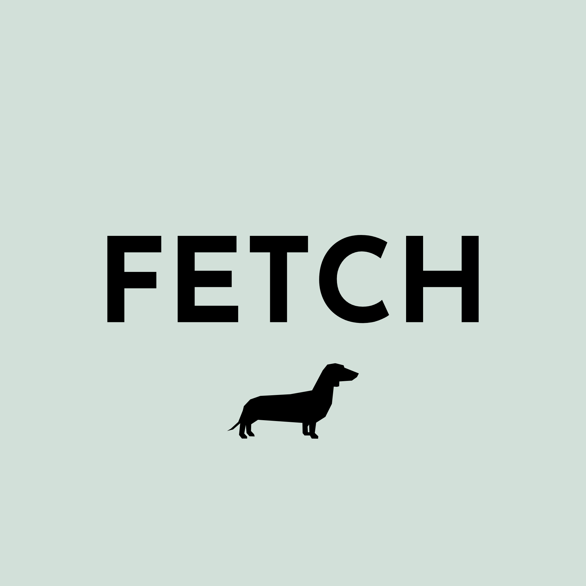 THE GIFT OF FETCH