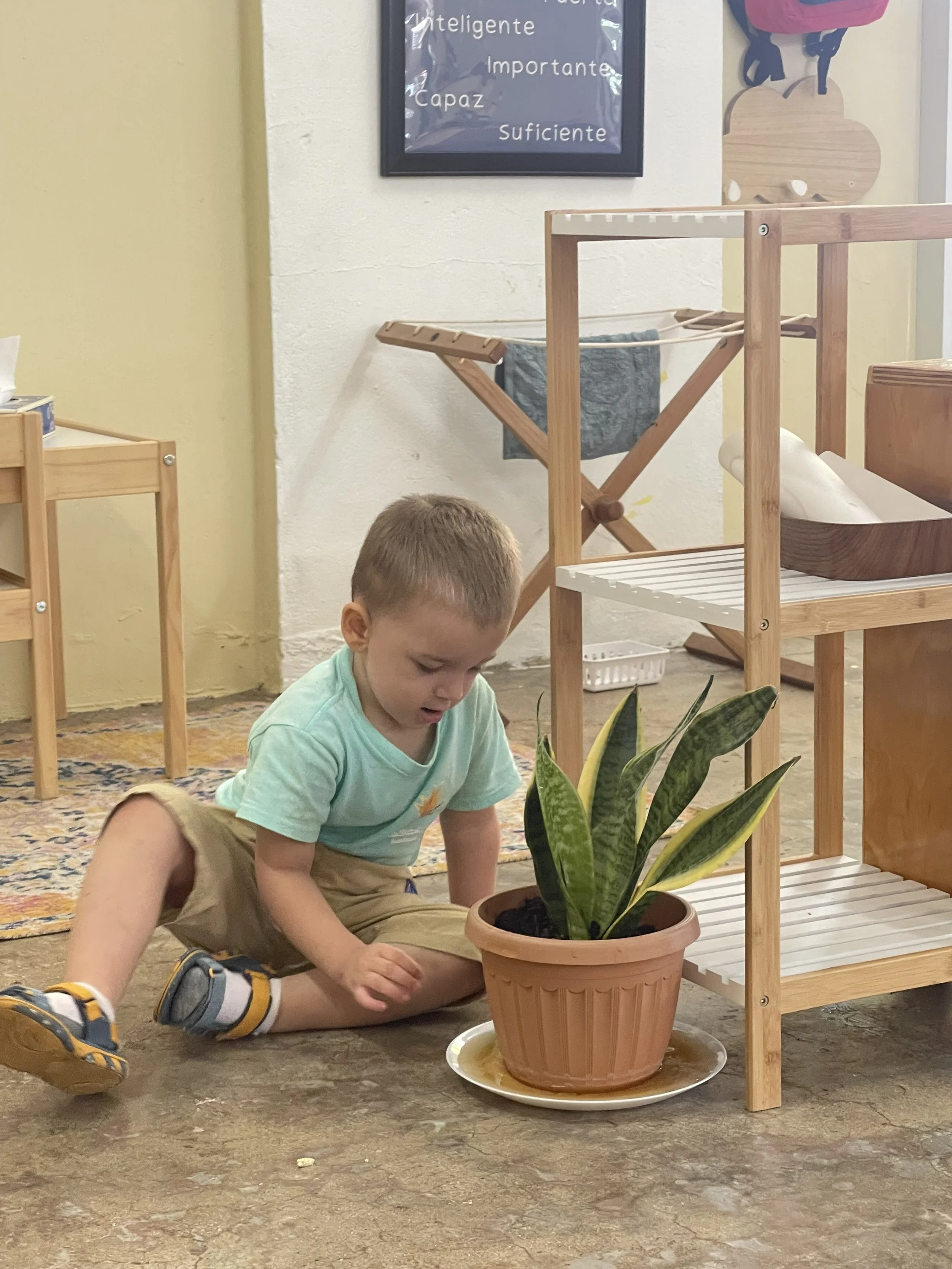 niño que observa una planta