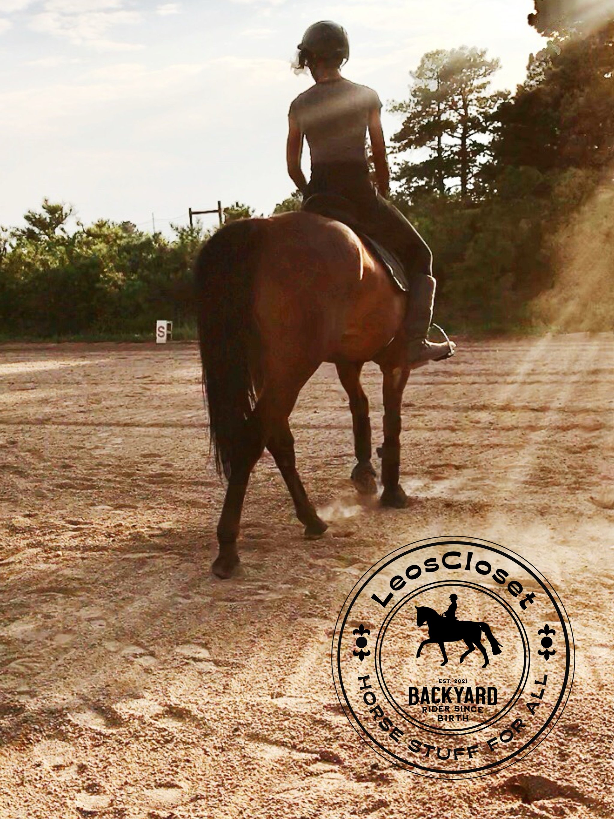 Compassion for the rider and the horse . . . At the heart of my barn is empathy, for both the incredible animals who give us their all, and the people who love, care for, and learn from them.