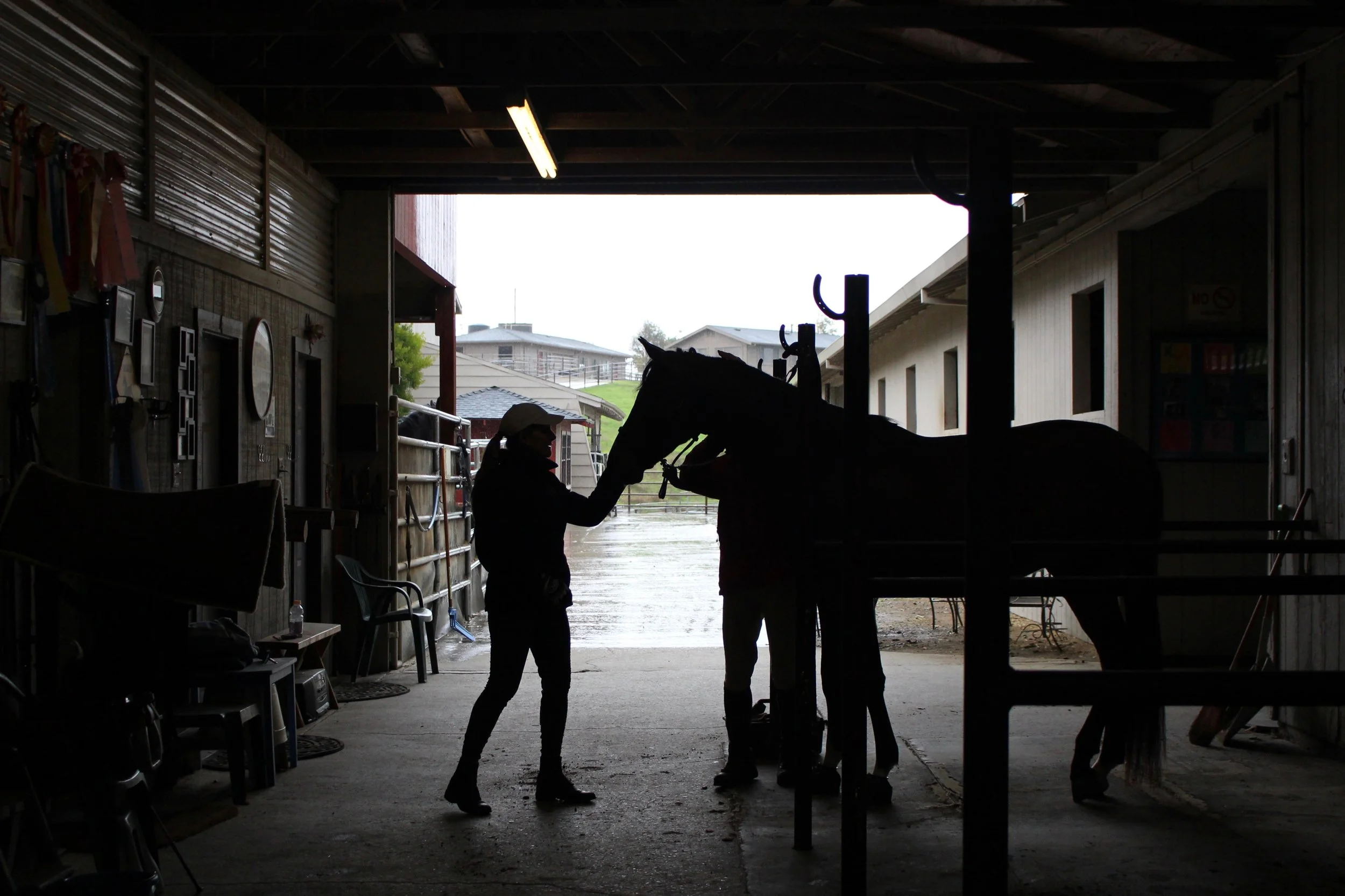 11.24.15_LN_Lighting_Back copy.jpg