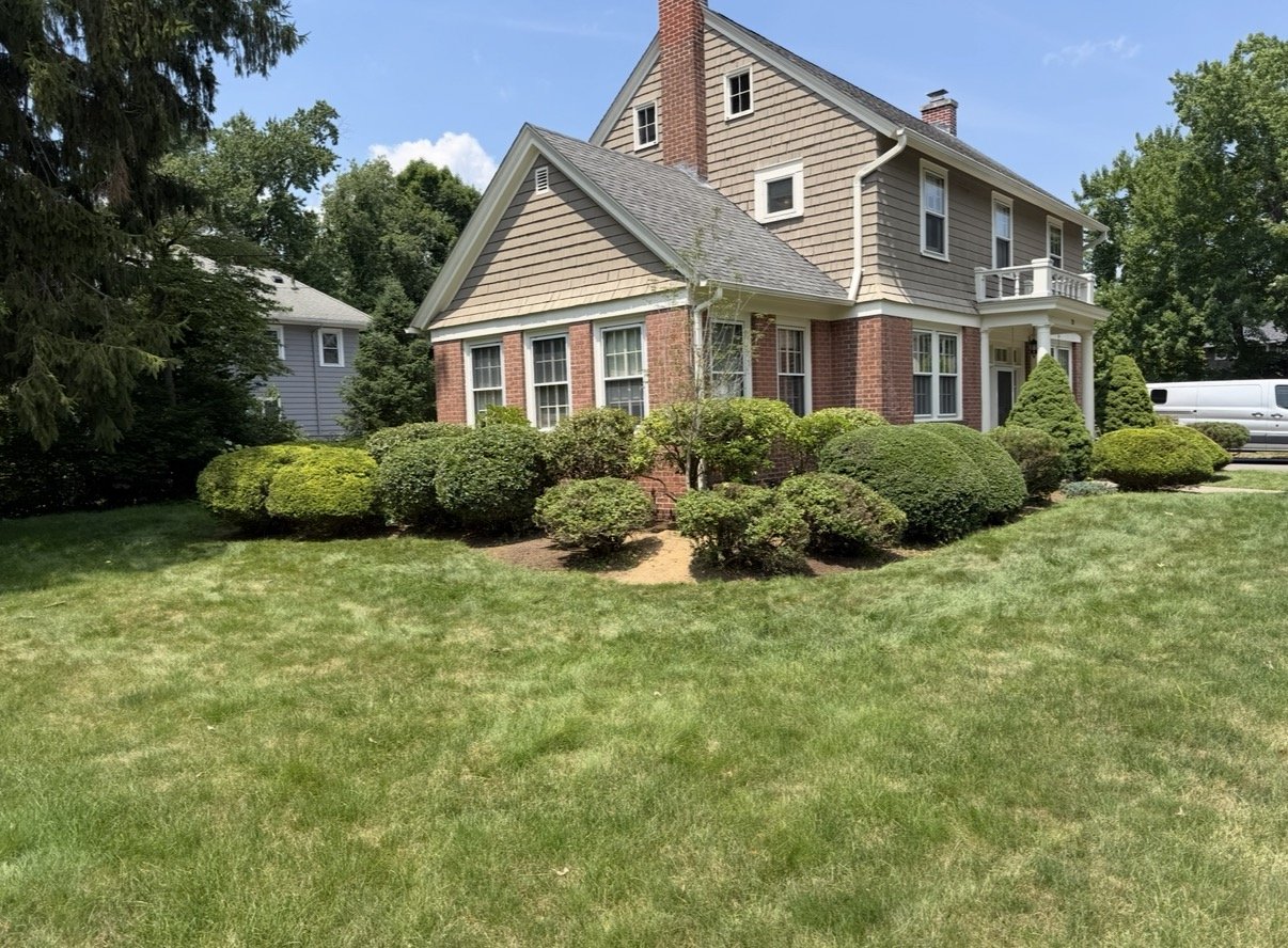 Shrub Trimming 